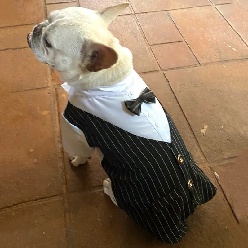 Pawsh & Dapper Tuxedo