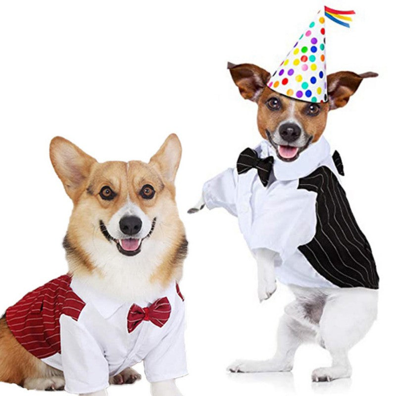 Pawsh & Dapper Tuxedo
