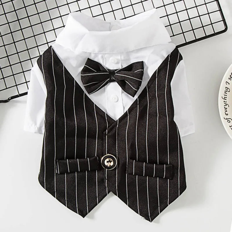 Pawsh & Dapper Tuxedo