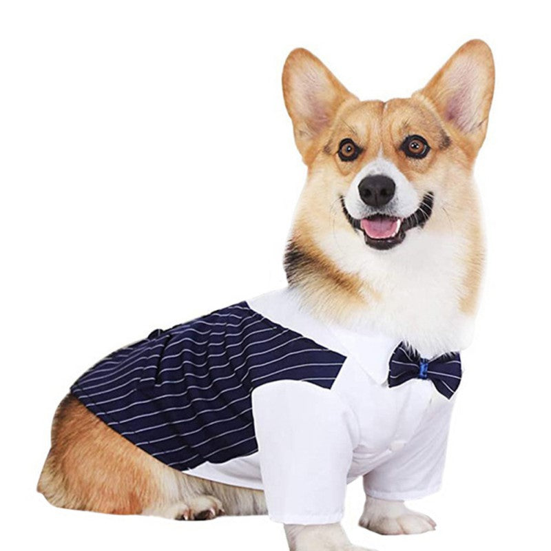 Pawsh & Dapper Tuxedo