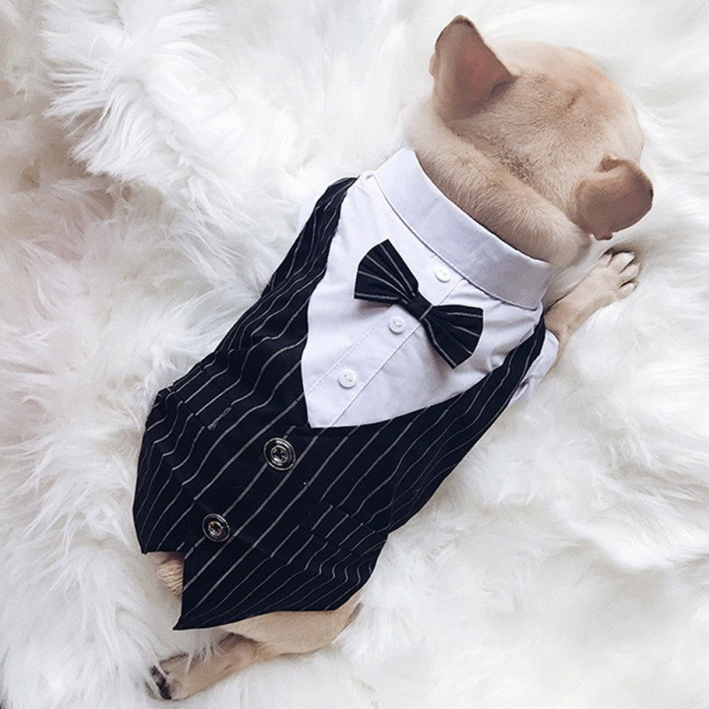 Pawsh & Dapper Tuxedo