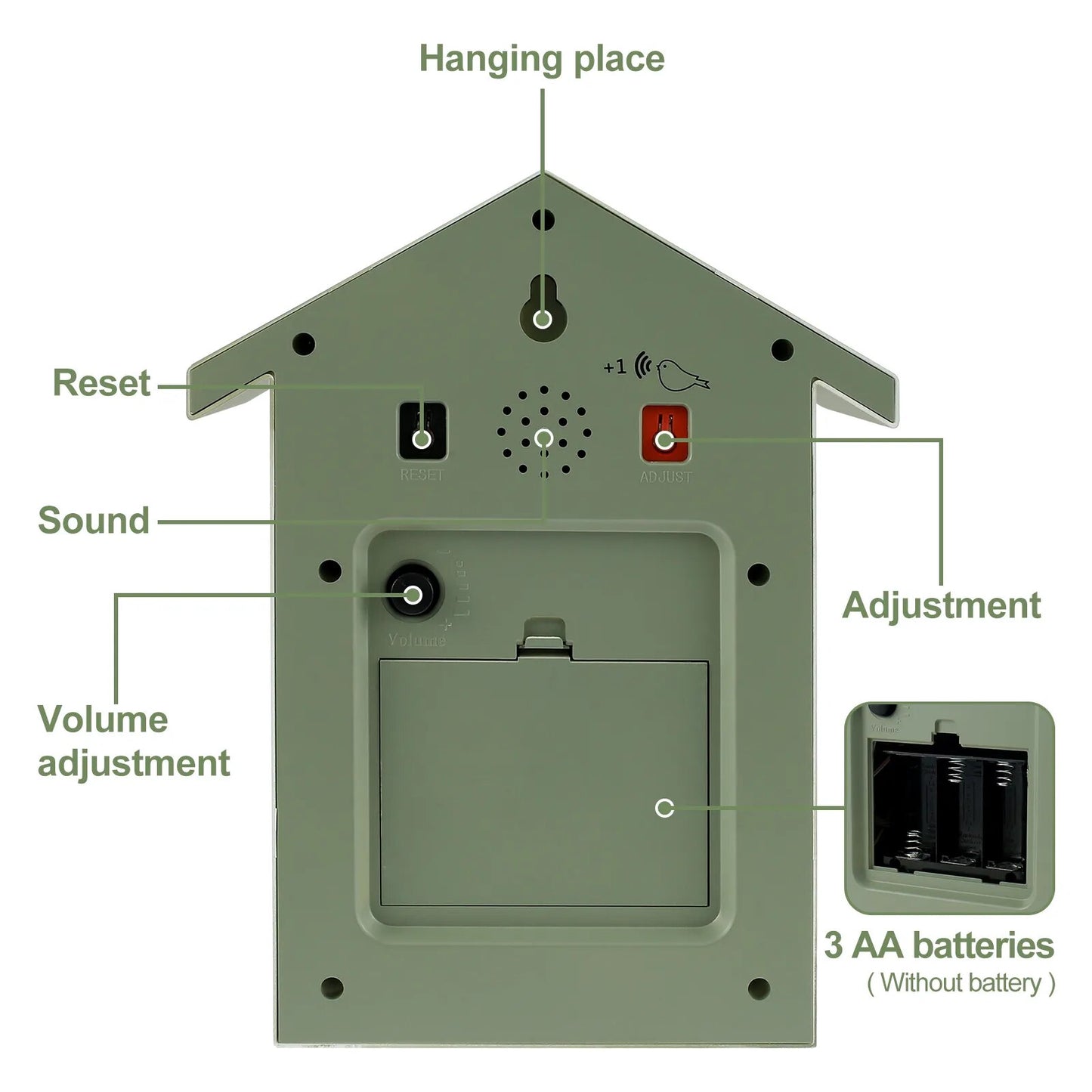 Fun Cuckoo Clock