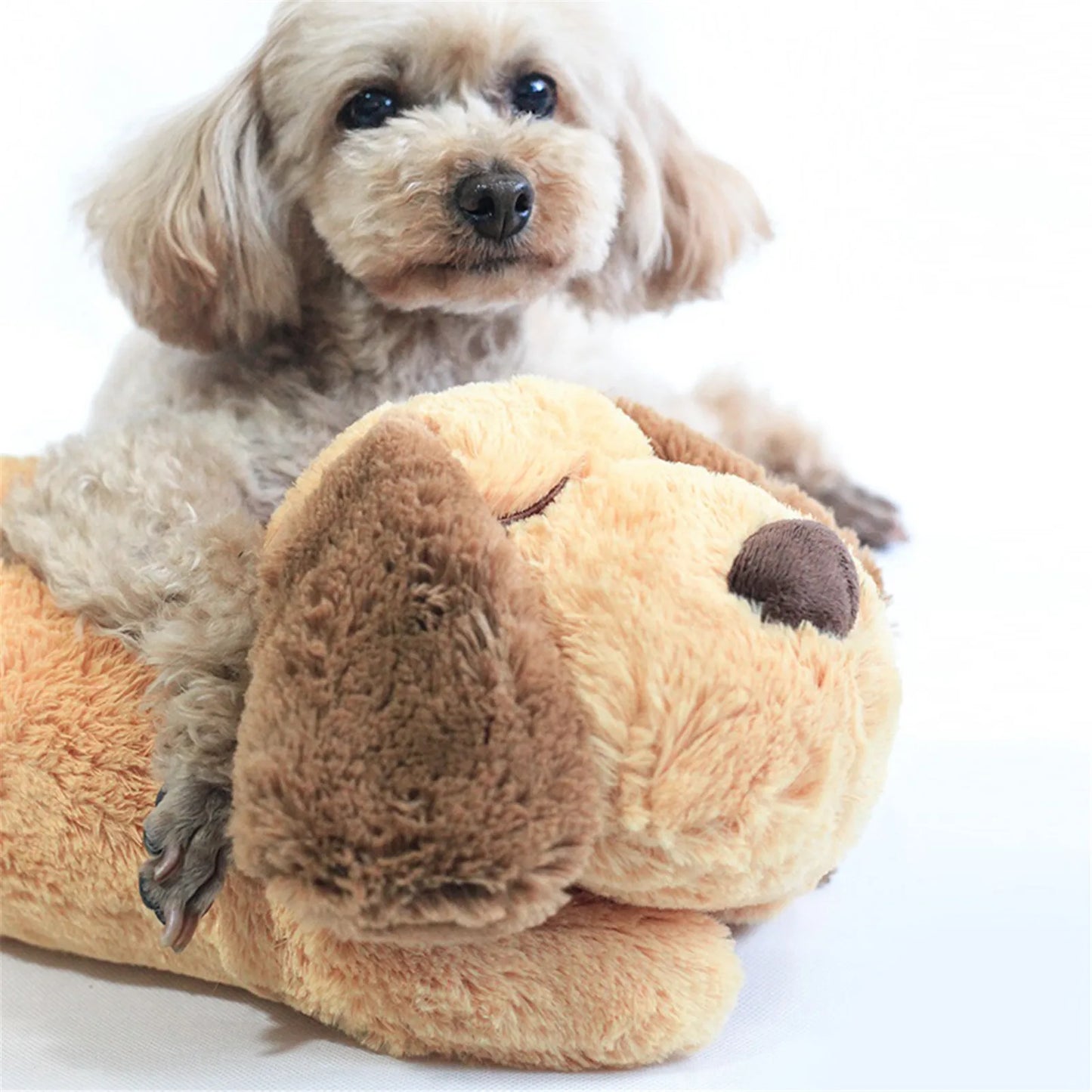 Anxiety ComfortPlush