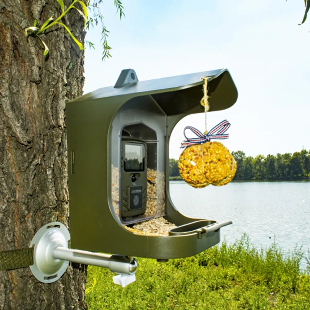 Bird Feeder and Camera