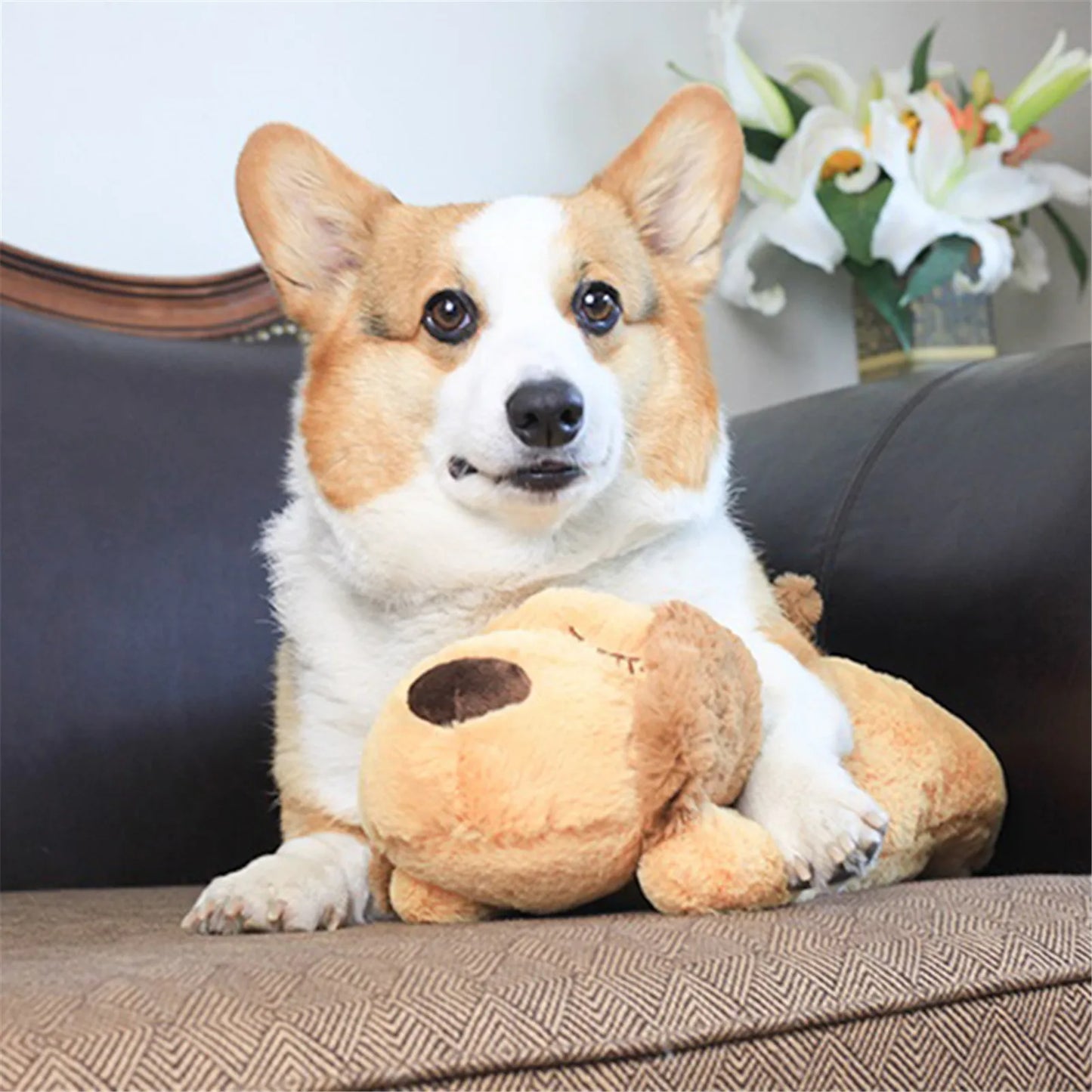 Anxiety ComfortPlush