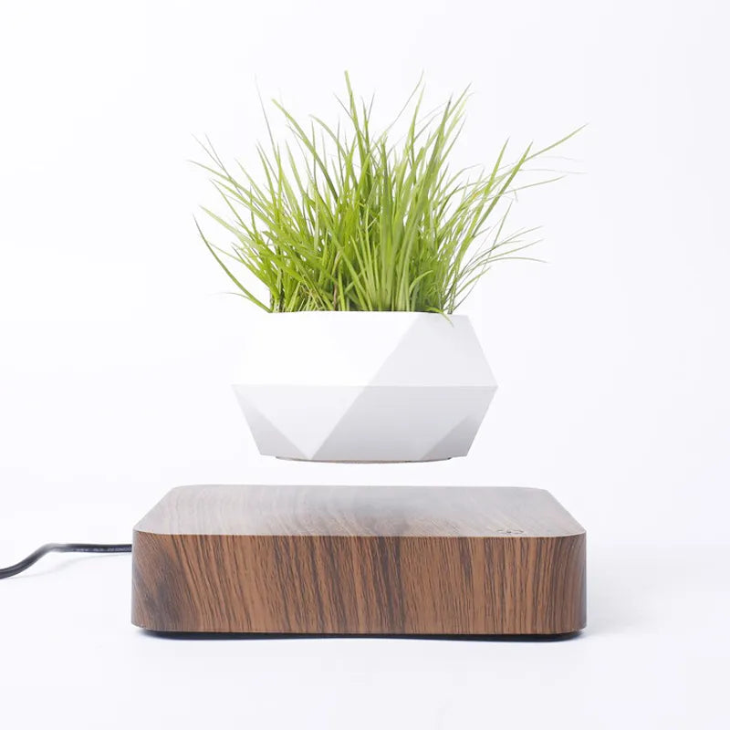Airy Pot