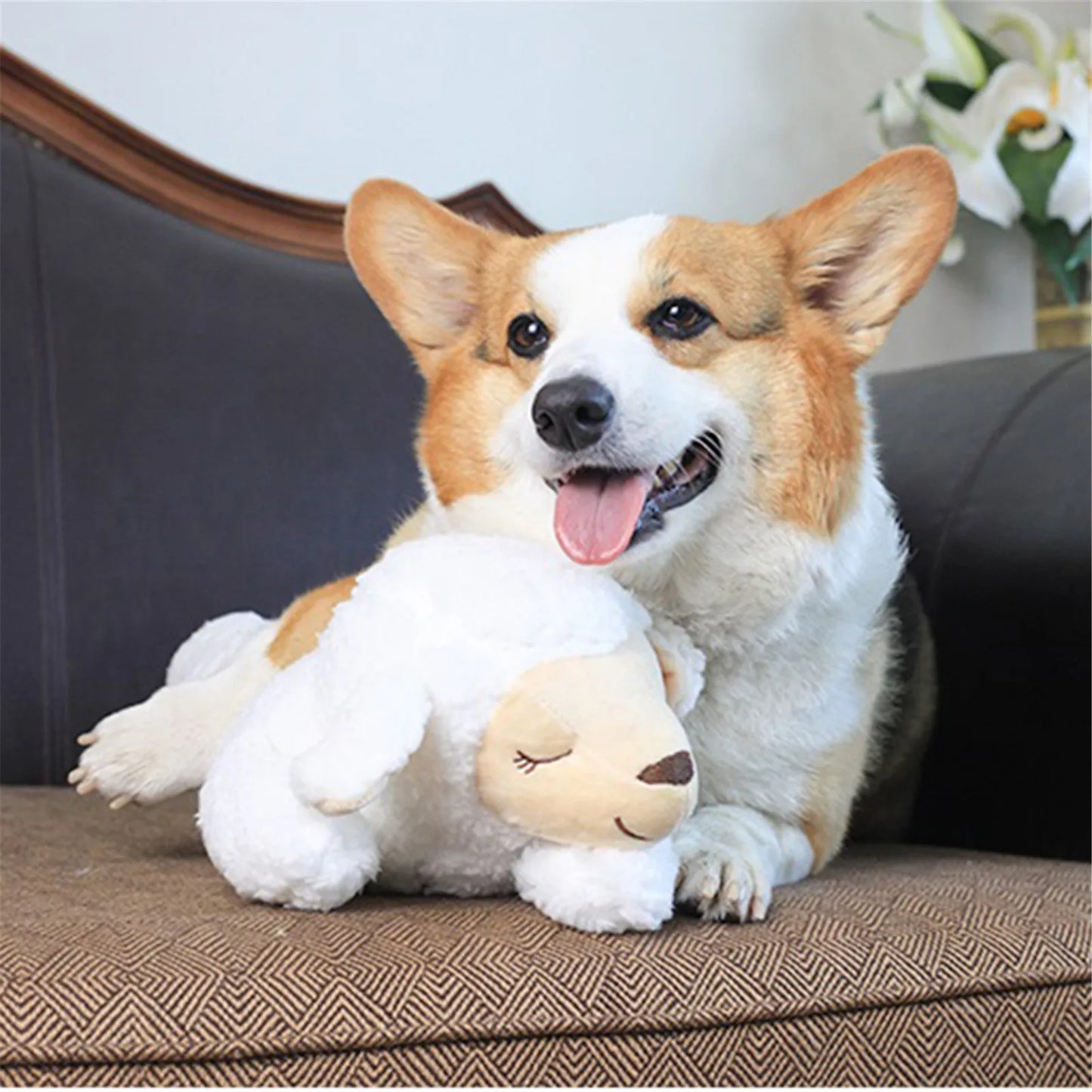 Anxiety ComfortPlush