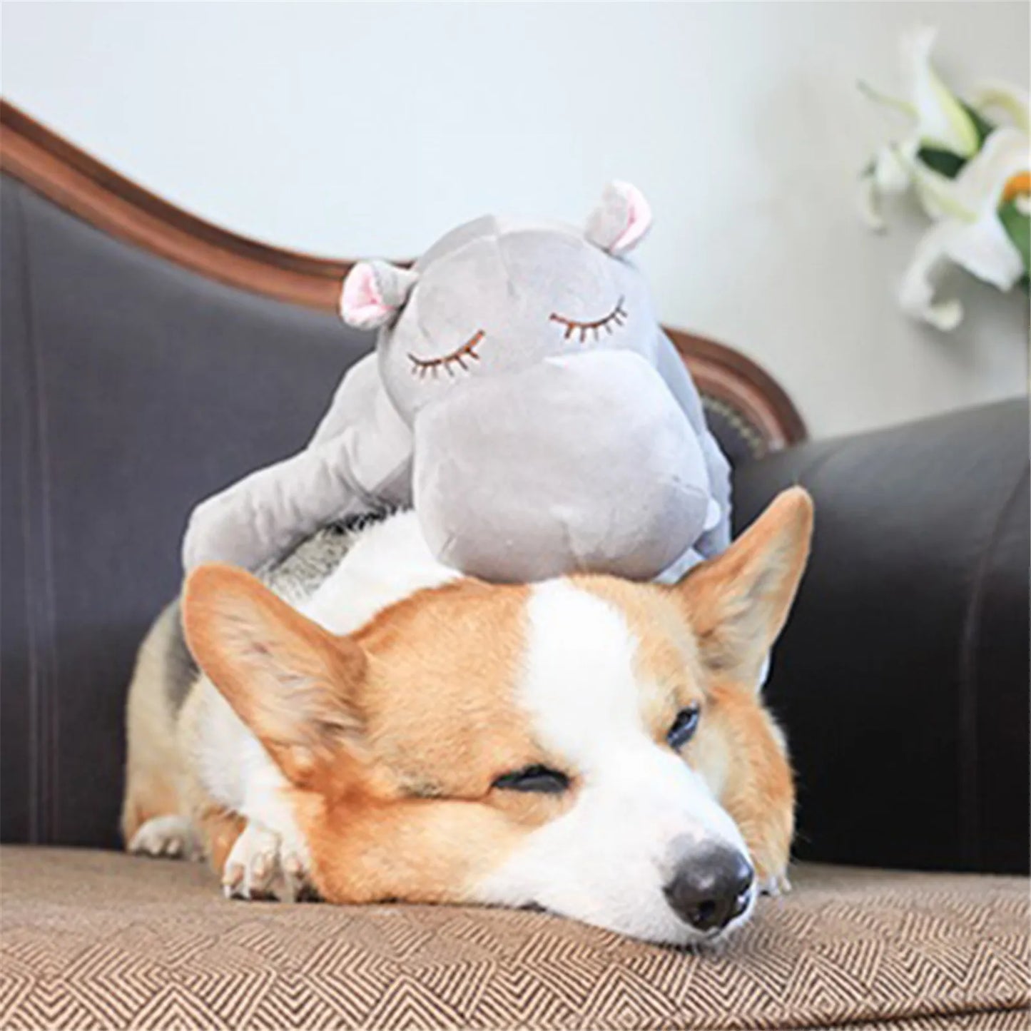 Anxiety ComfortPlush